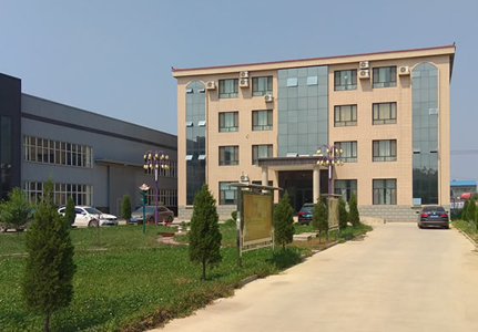 Company profile